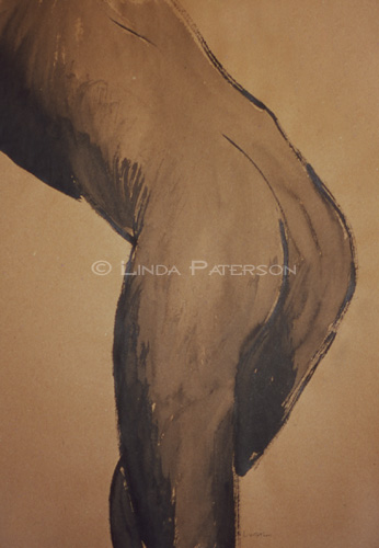 &copy; Linda Paterson