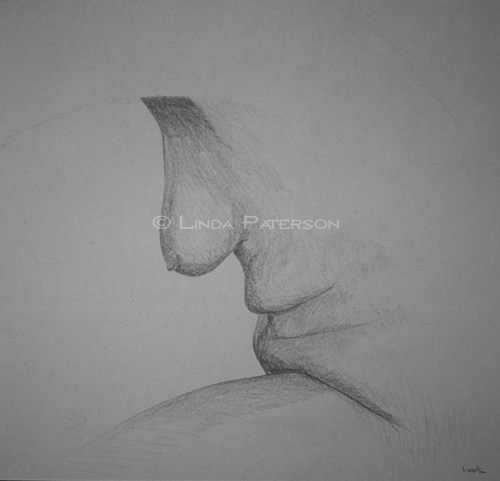 &copy; Linda Paterson